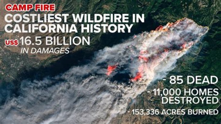 How many camp fires are dead